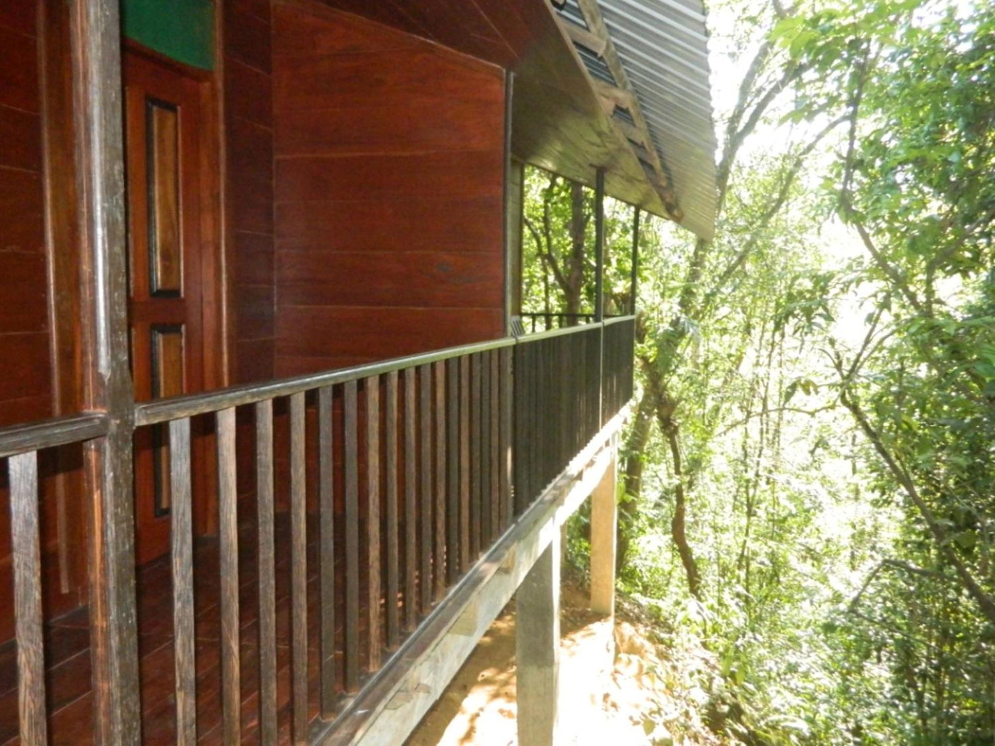 Birds Paradise Hotel Kudawe Oda fotoğraf