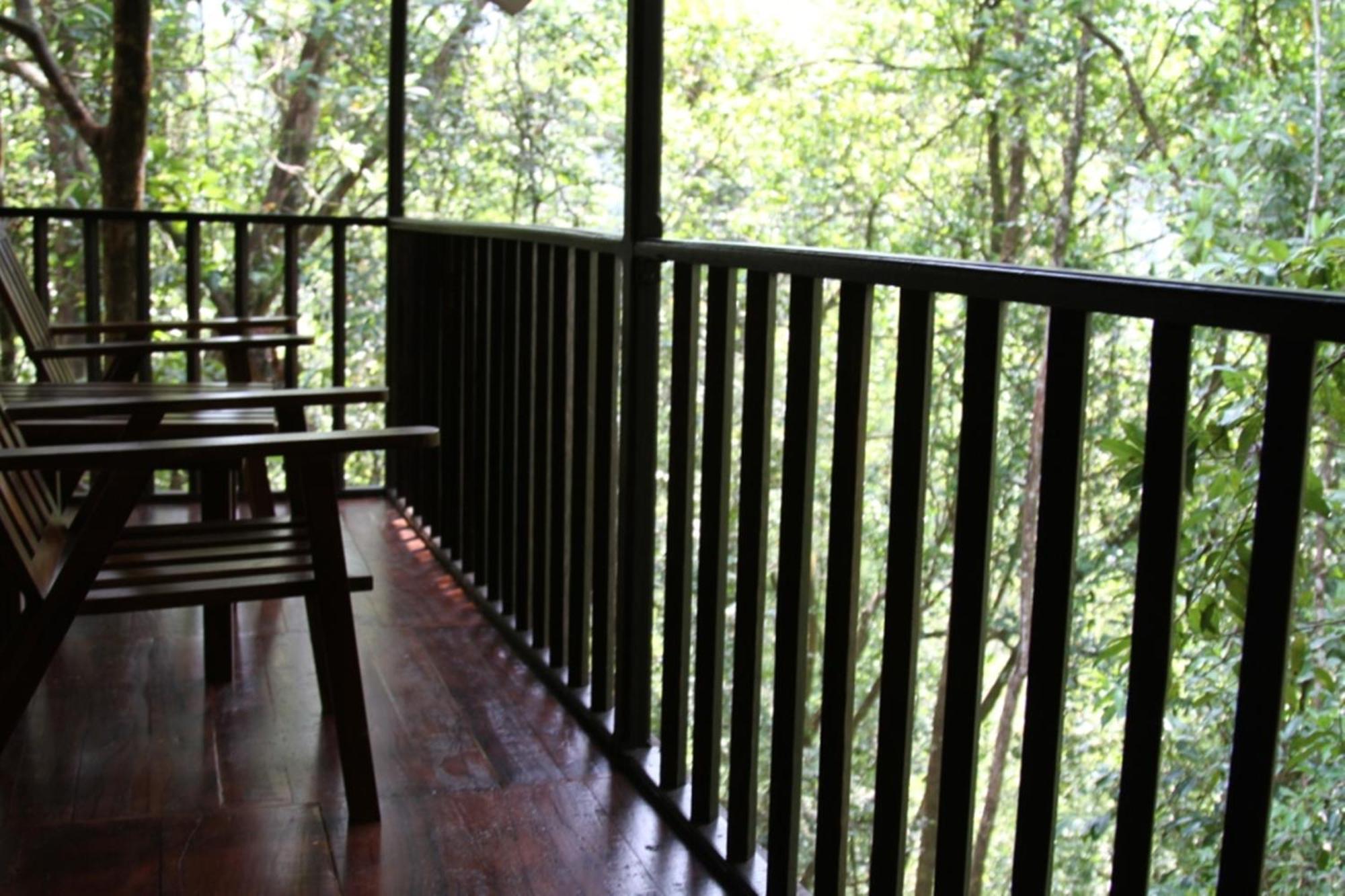 Birds Paradise Hotel Kudawe Oda fotoğraf