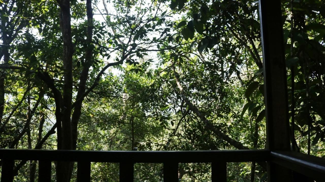 Birds Paradise Hotel Kudawe Dış mekan fotoğraf